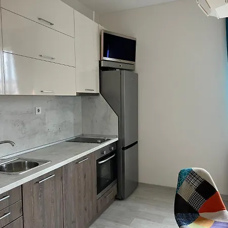Vitosha 60 Apartamento *
